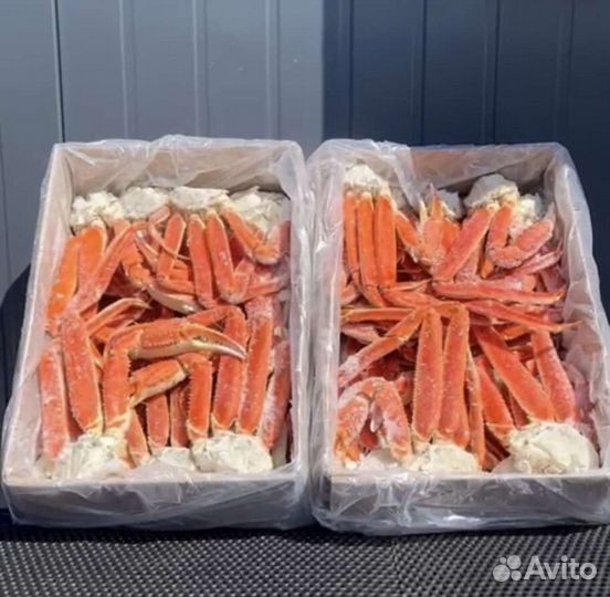 Краб Стригун конечности коробка 4 кг