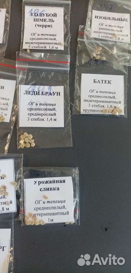 Семена томатов гномы