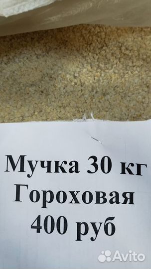 Кормовой горох