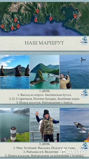 Тур Косатки 2025