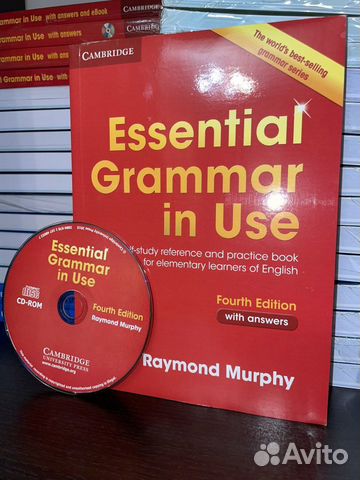 Essential Grammar in use fourth edition