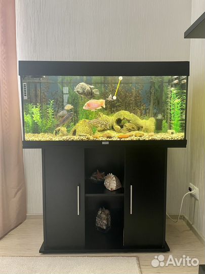 Аквариум с тумбой и рыбками