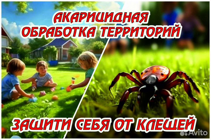 Противо клещевая обработка территорий