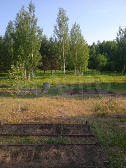 Участок 15,1 сот. (ИЖС)