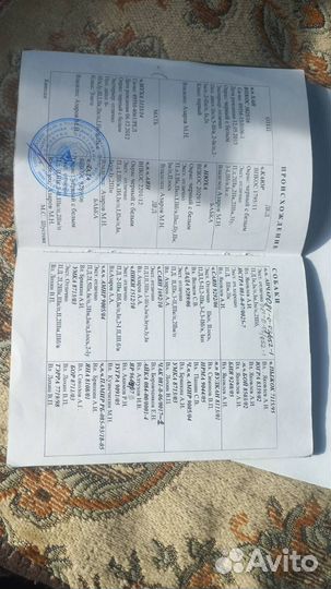 Щенки русско европейской лайки