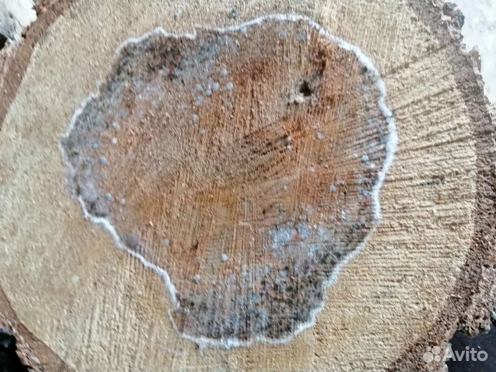 Деревянный спил