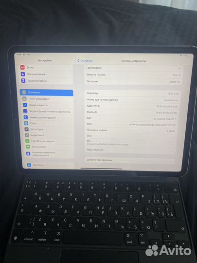 iPad