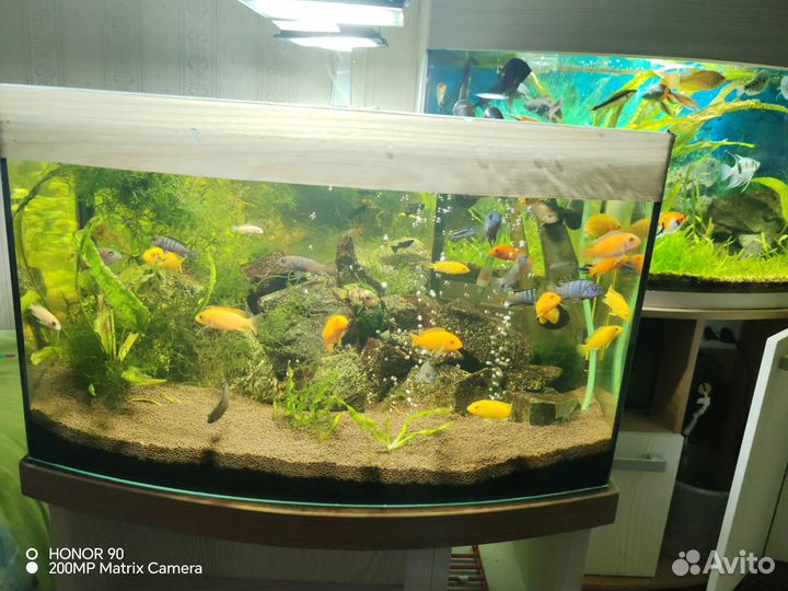 Продам 3 аквариума, 150л, 100л, и 50л