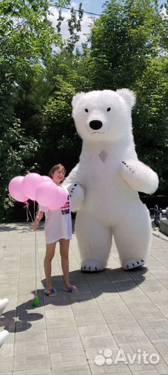 Белый Мишка с шарами и цветами