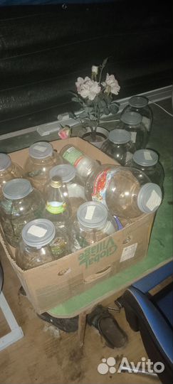 Банки 3 л бу