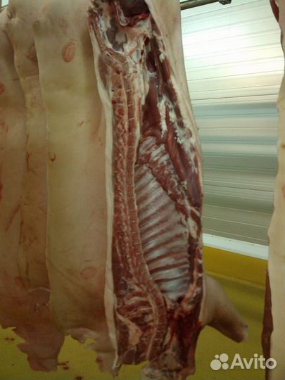 Свинина опт и розница, услуги распила