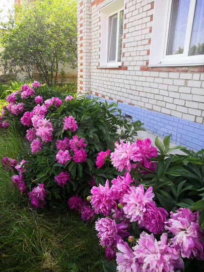 Дом 160 м² на участке 11 сот.