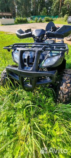 Motax grizlik 200 lux 2024