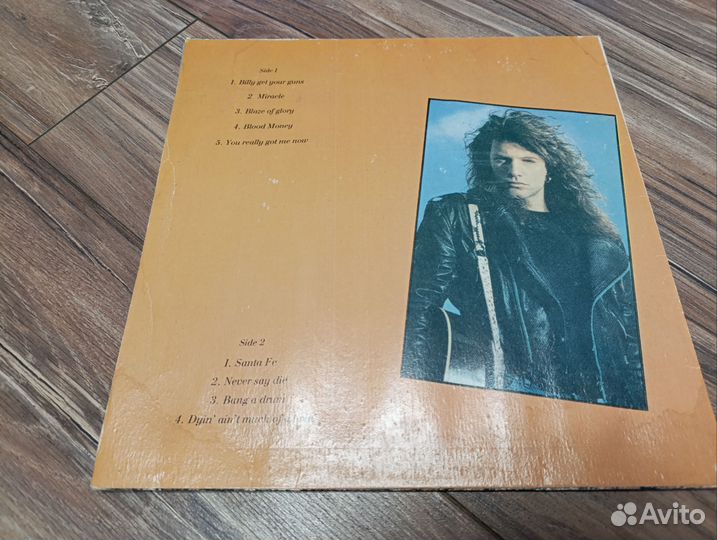 Виниловые пластинки Bon Jovi