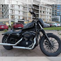 Harley- Davidson sportster iron 883