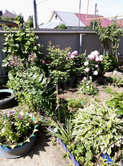 Дом 79,6 м² на участке 6,9 сот.