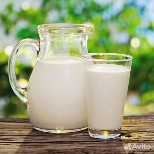 Козье молоко Сыр Адыгейский