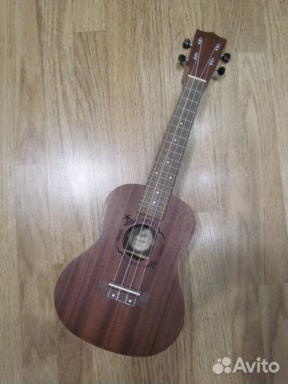 Укулеле flight концерт