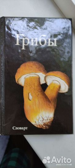 Справочники Грибы