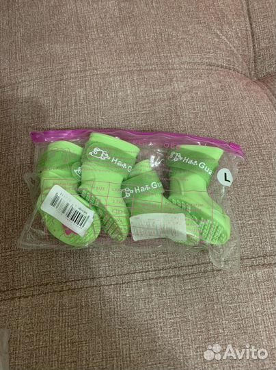 Одежда для собак