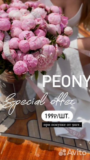 Пионы букет