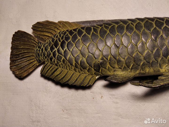 Рыба бронза