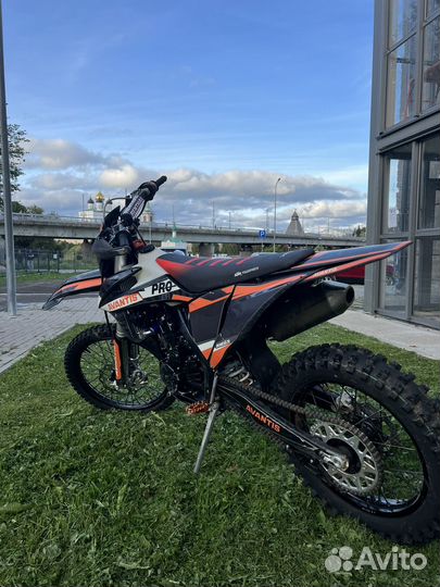 Avantis enduro 300 pro efi exclusive