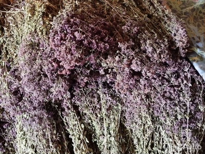 Сухие травы