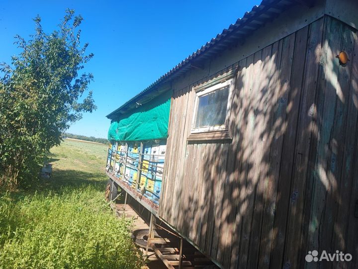 Пасека, пчелоповильен
