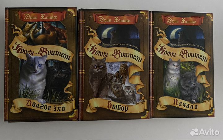 Коты Воители, Эрин Хантер