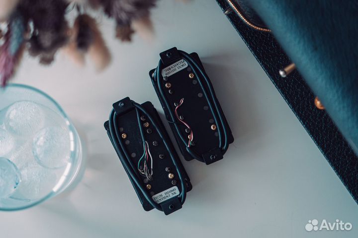 Seymour Duncan Pegasus Sentient