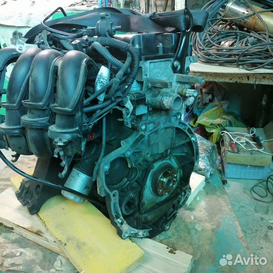 Двигатель ford focus 2 1.6 100 л с hwdb