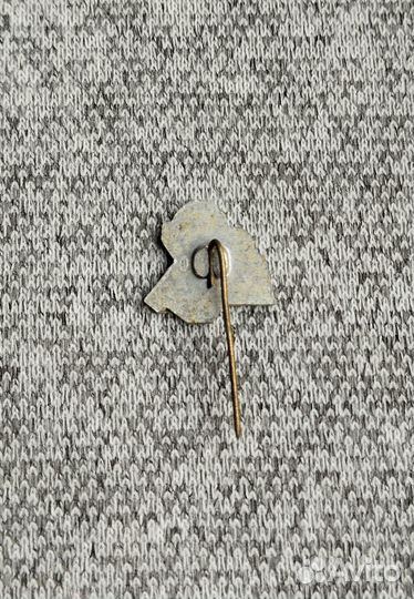 Значок - Varena - Варена - Литва. Грибы