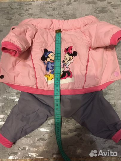 Одежда для собак, ошейник,носки,шапка