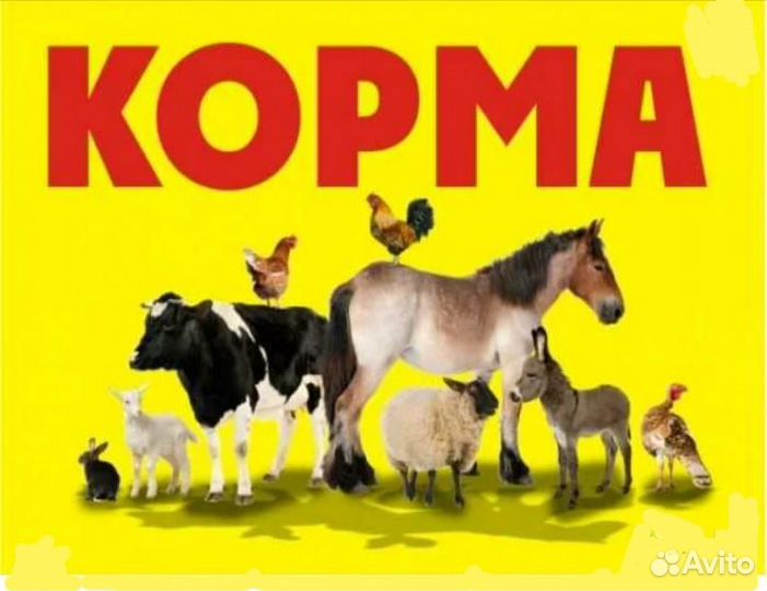 Корма для сельскохозяйственных животных