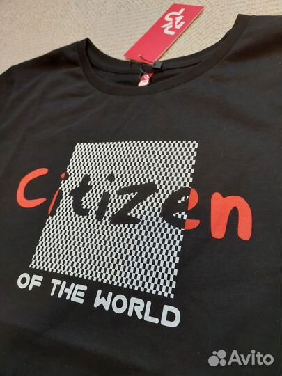 Мужская футболка Citizen of the world р. М