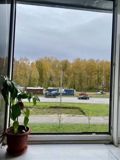 Квартира-студия, 24 м², 2/17 эт.