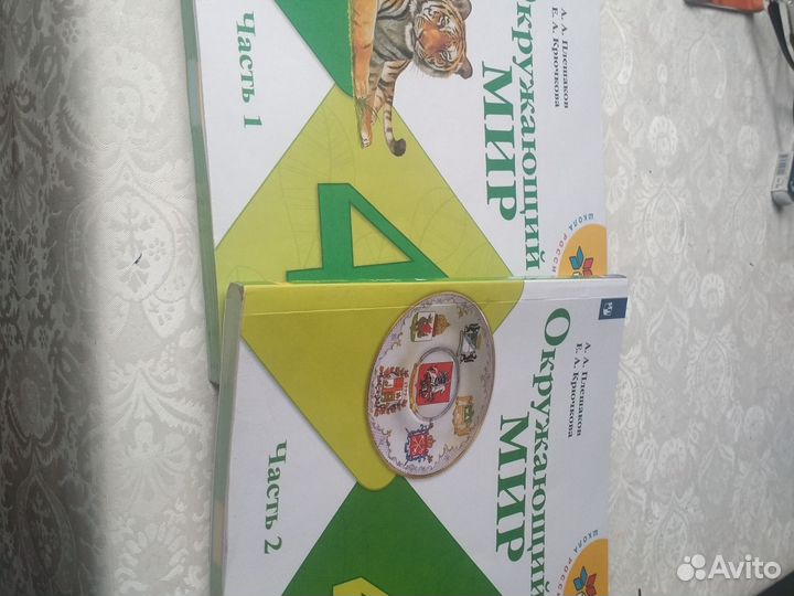 Учебник Окружающий Мир 2 части