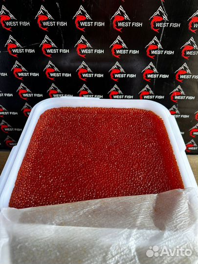 Красная Икра Кижуча 2023г оптом без посредников