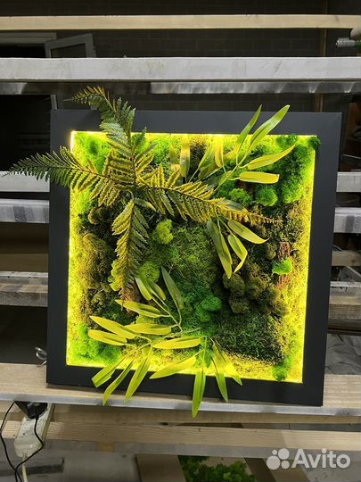 Стабилизированный мох/ картина из мха/ фитопанно