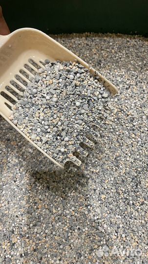 Наполнитель для кошачьего туалета