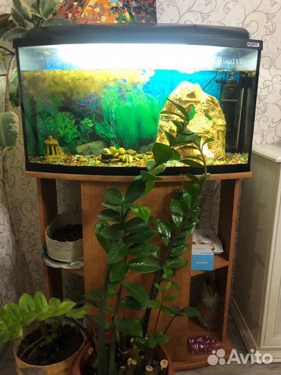 Аквариум