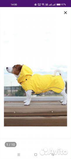 Дождевик для собак 