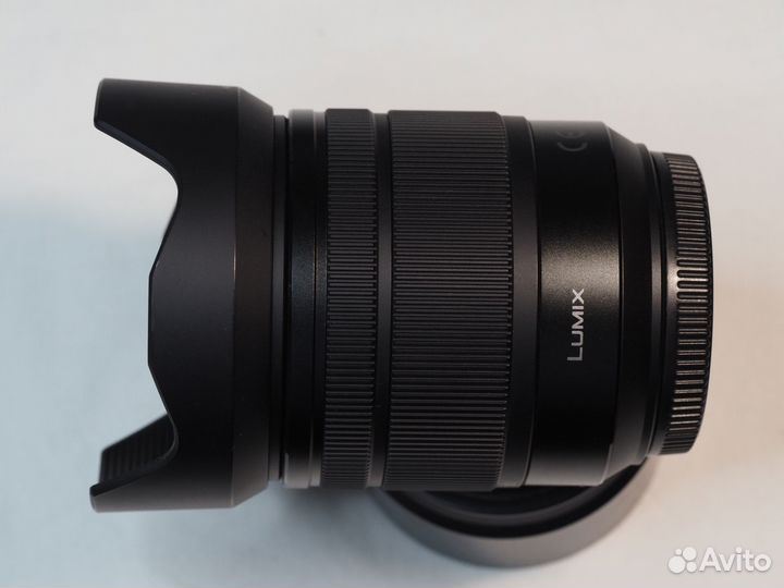 Panasonic 12-60/3.5-5.6