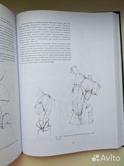 Основы учебного академического рисунка Николай Ли