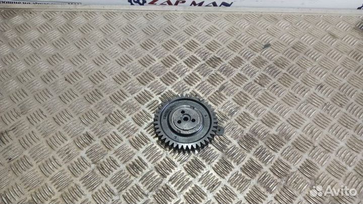 Шестерня грм промежуточная Man Tga Tgs Tgx