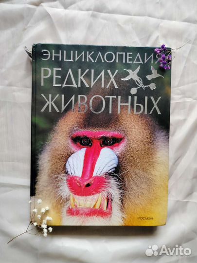 Энциклопедия про животных, учебник по дайвингу