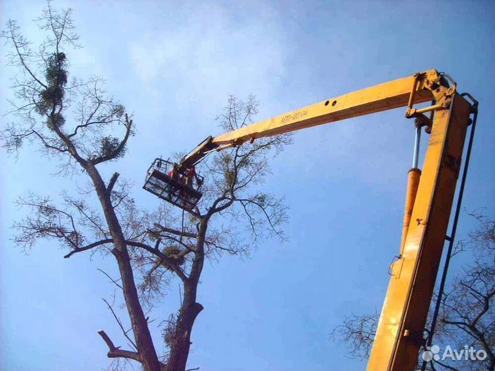 Услуги автовышки