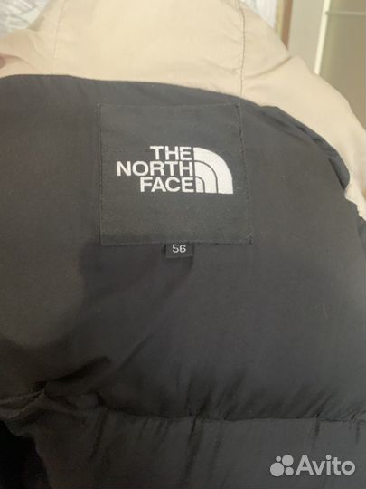 Мужская зимняя куртка TNF