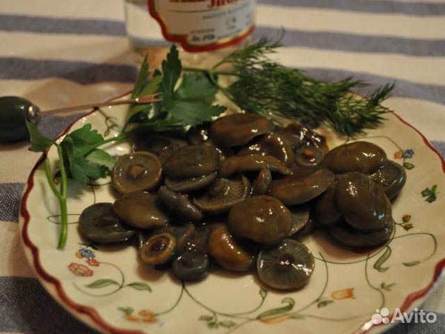 Рыжики соленые